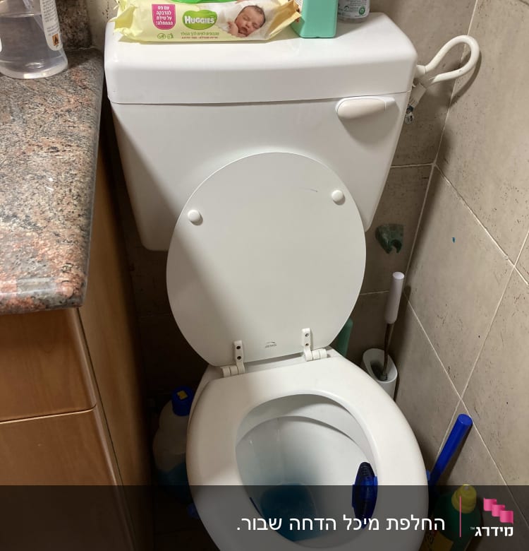 אסלה עם חומר ניקוי כחול ומברשת שירותים